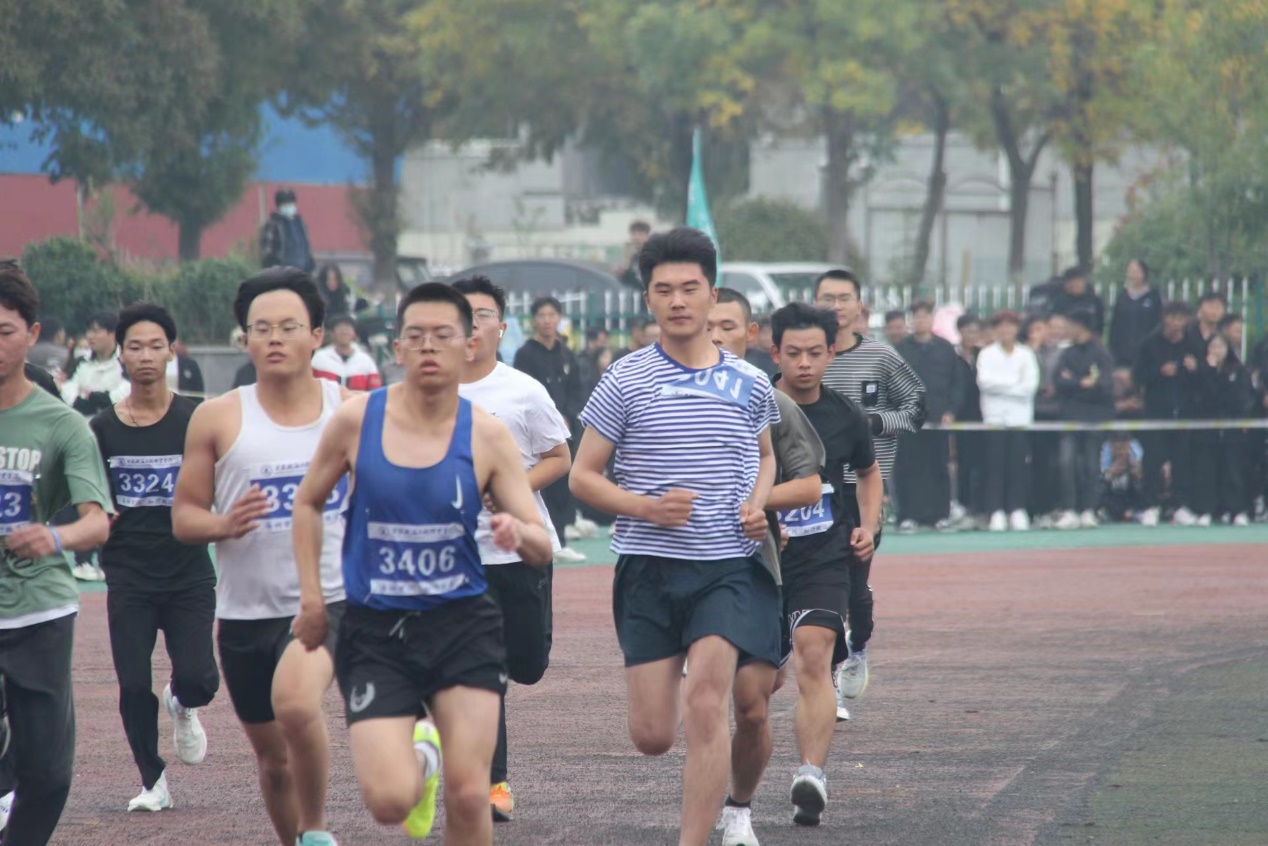 图片 12