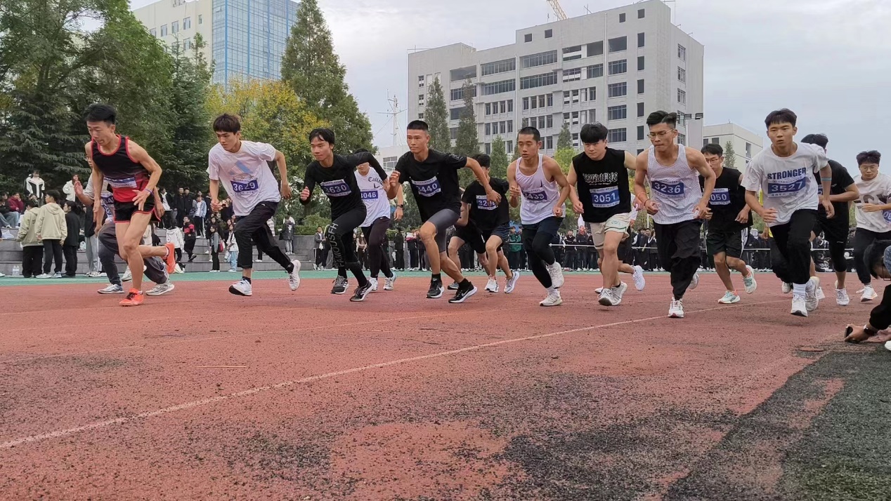 图片 7
