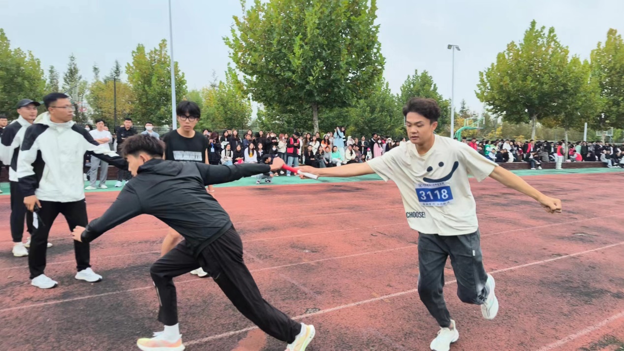 图片 5