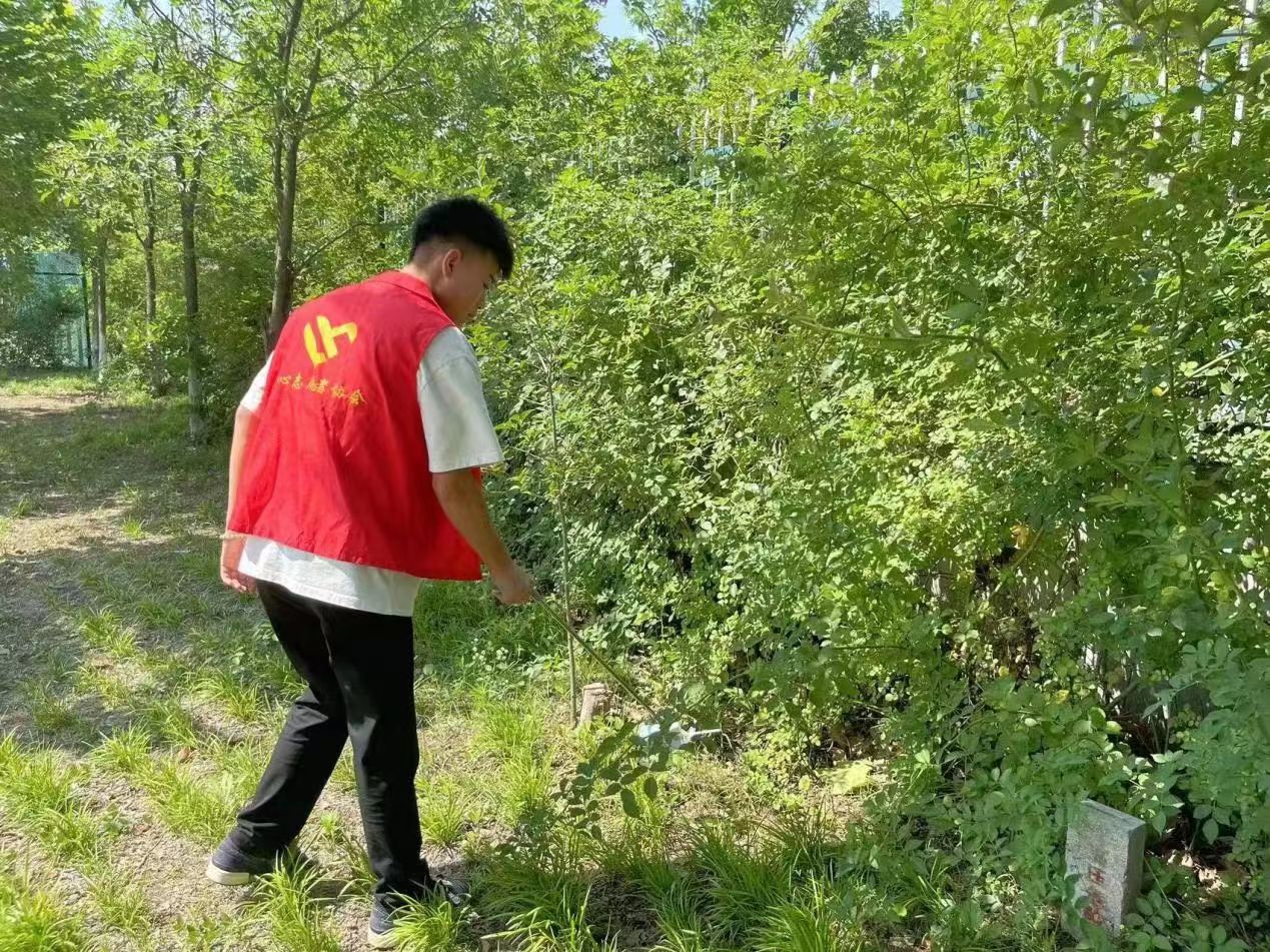 图片20.jpg