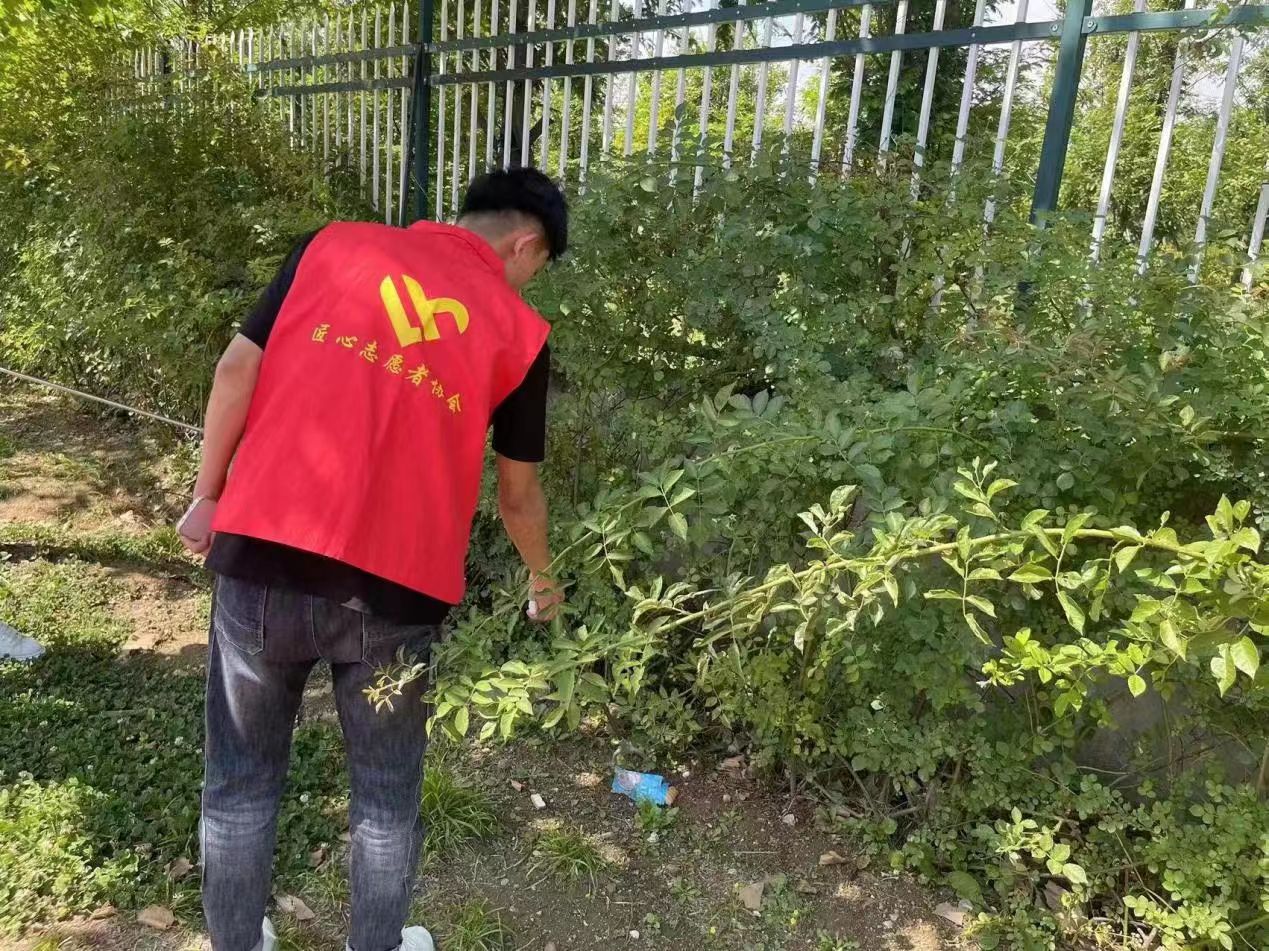 图片19.jpg
